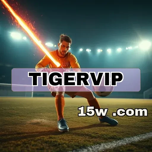 tigervip: O Que O Suporte Oferece de Melhor aos Usuários